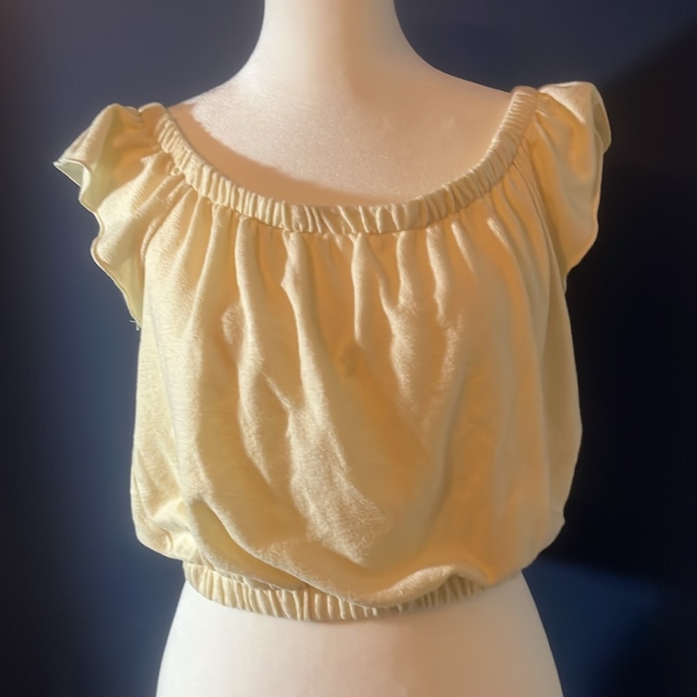 Urban Outfitters - Project Social T cropped  top, with elastic, ruffle shoulder